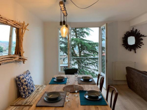 Toulouse Centre Superb Apartment With Parking